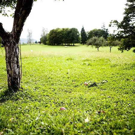 Al Sole Di Cavessago Bed and Breakfast Μπελούνο